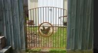 Red Hill Wrought Iron image 12
